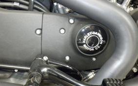 HARLEY XL1200CX 2020