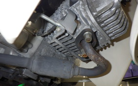 HONDA C110 SUPER CUB JA44