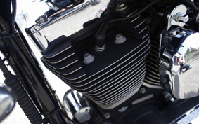 HARLEY FXDL 100th 2002 GDV