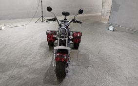 OTHER DENDOU TRIKE  ..