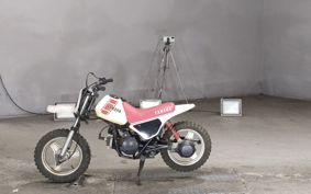 YAMAHA PW50 4X4
