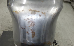 SUZUKI GSX-R1100 2015