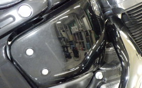 HARLEY FXST1750 2025