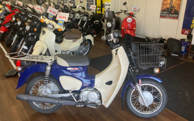 HONDA SUPER CUB50 AA07
