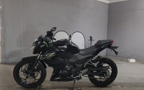 KAWASAKI Z250 ER250C