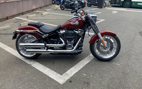 HARLEY  HARLEY FLFBS 2025 YGK