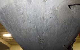 YAMAHA CYGNUS 125 X 1999 SE12J