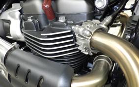 TRIUMPH SCRAMBLER 900 2026