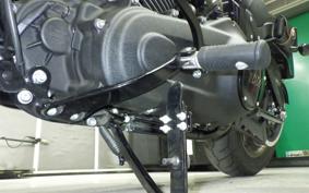 HARLEY FXLRS1920 2024