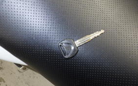 HONDA HORNET 250 2024 MC31