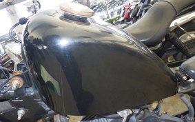 OTHER +UNREGISTERED MODEL by BDS250