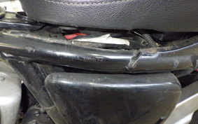 YAMAHA VIRAGO 250 3DM