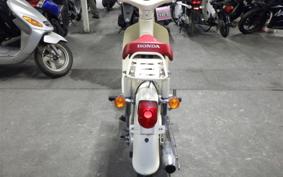 HONDA LITTLE CUB E AA01