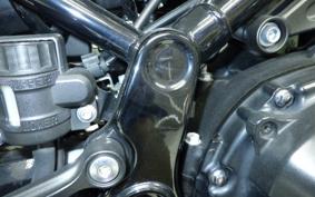KAWASAKI Z900RS 2019 ZR900C
