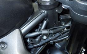 KAWASAKI ZX-4R SE 2024 ZX400P