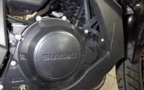 SUZUKI GSX250 R 2019