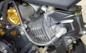 HONDA ｸﾞﾛﾑ 2023 JC61