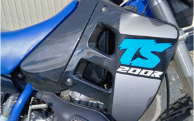 SUZUKI TS200R R SH12A
