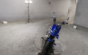 YAMAHA VIRAGO 250 3DM
