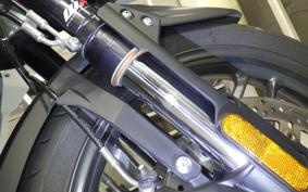 TRIUMPH TIGER 1200 XRT 2019