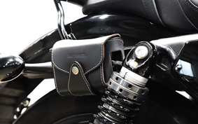 HARLEY XL1200CX 2018 LM3