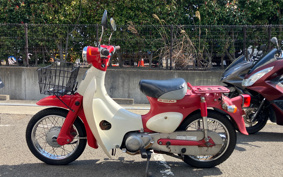 HONDA LITTLE CUB AA01