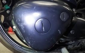 KAWASAKI W800 CAFE 2020 EJ800B