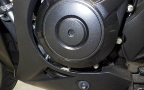 SUZUKI GSX250 R 2019