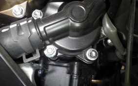 HONDA CBR400R 2024 NC56
