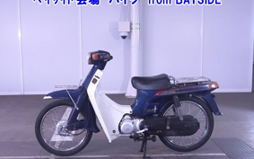SUZUKI BIRDIE80