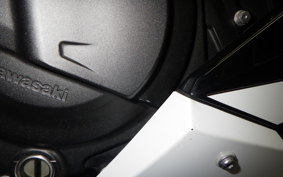 KAWASAKI NINJA 400 2021 EX400G