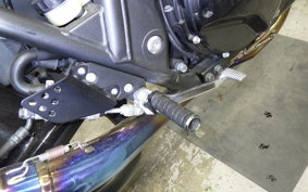 KAWASAKI ZRX1200 D 2016 ZRT20D