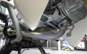 HONDA C110 SUPER CUB 2009 JA44