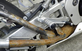 SUZUKI RGV250 Gamma 2025 VJ21A