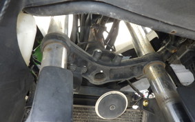 KAWASAKI NINJA 250 2024 EX250L
