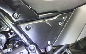 YAMAHA TENERE 700 2020 DM09J