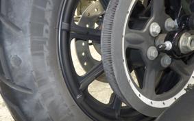 HARLEY XL1200NS 2019