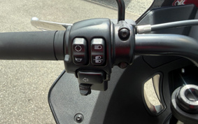 HARLEY FXLRST 2024 YXZ