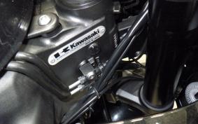 KAWASAKI NINJA 1000 A 2015