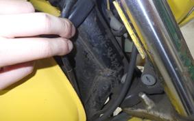 SUZUKI TS250 2024 TS2504