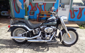 HARLEY FLSTF 2008 BX5