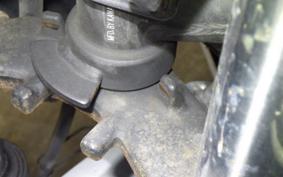 KAWASAKI NINJA 250 EX250L