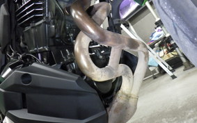 KAWASAKI VERSYS X250 A LE250D