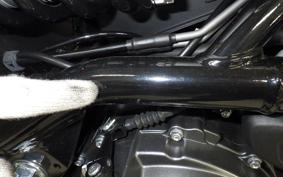 HARLEY X350 2026