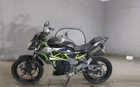KAWASAKI Z250 SL BR250E