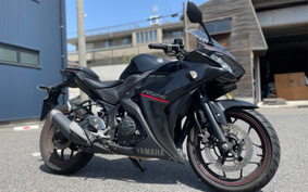 YAMAHA YZF-R25 RG43J