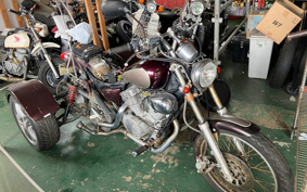 YAMAHA VIRAGO 250 Trike 3DM