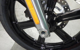 HARLEY FXST1750 2024