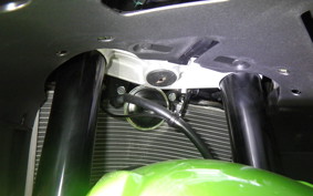 KAWASAKI NINJA ZX-6R A 2025 ZX636J