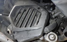 HONDA TACT Basket AF79